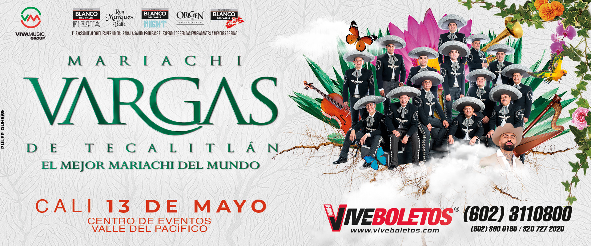 MARIACHI BANNER WEB CALI